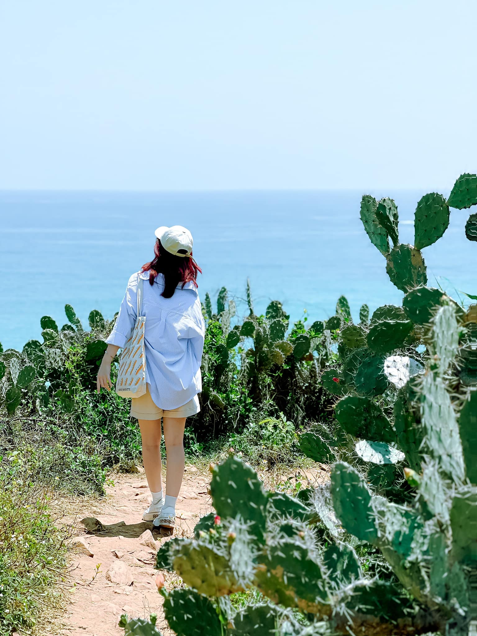 Phim trường Hoa Vàng Trên cỏ xanh - Phú Yên