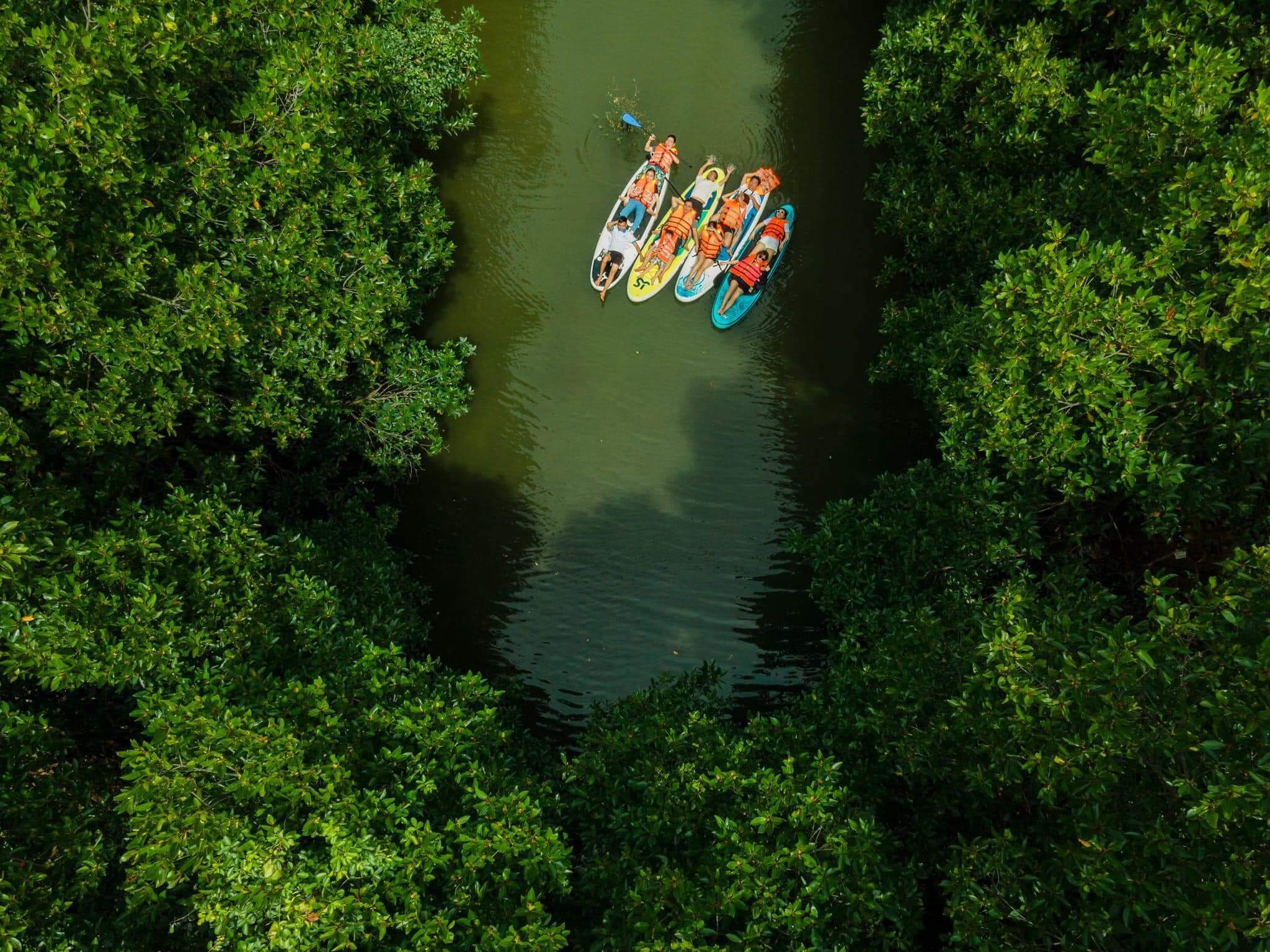 Nên đi Tour Cồn Chim Quy Nhơn 1 Ngày thời gian nào?