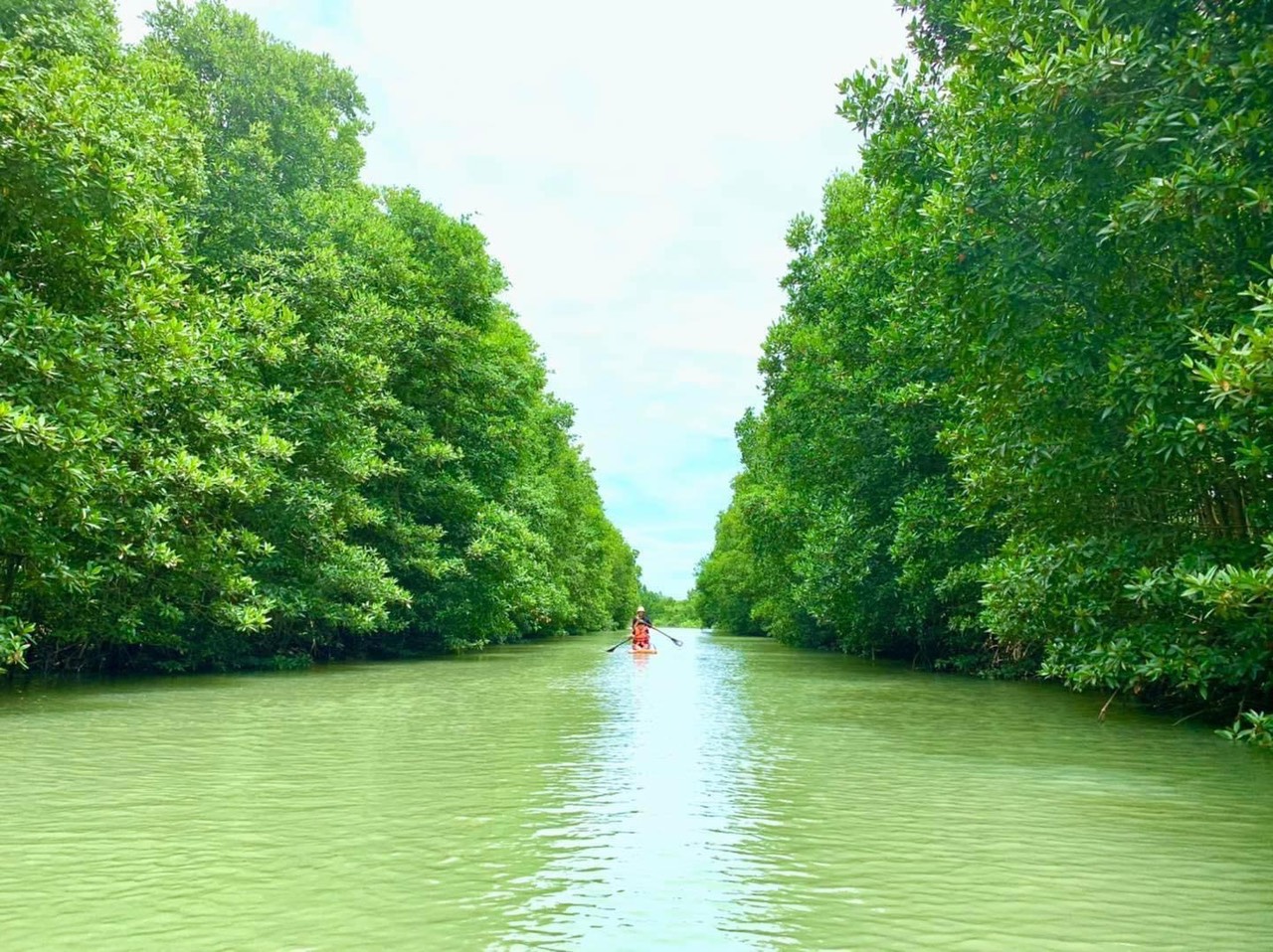 Cồn chim Quy Nhơn