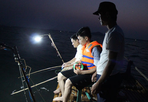 Tour câu mực đêm