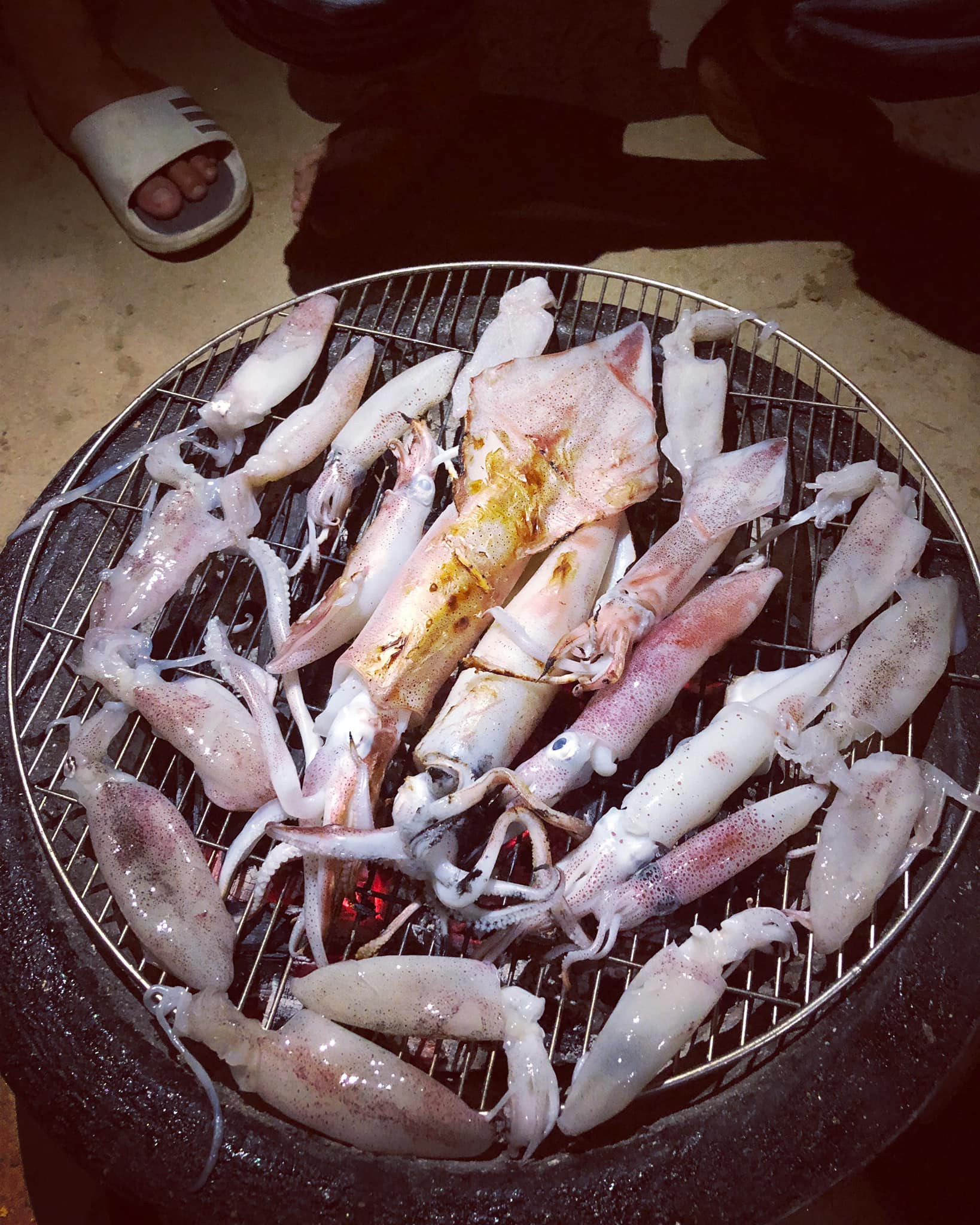 Tour câu mực đêm