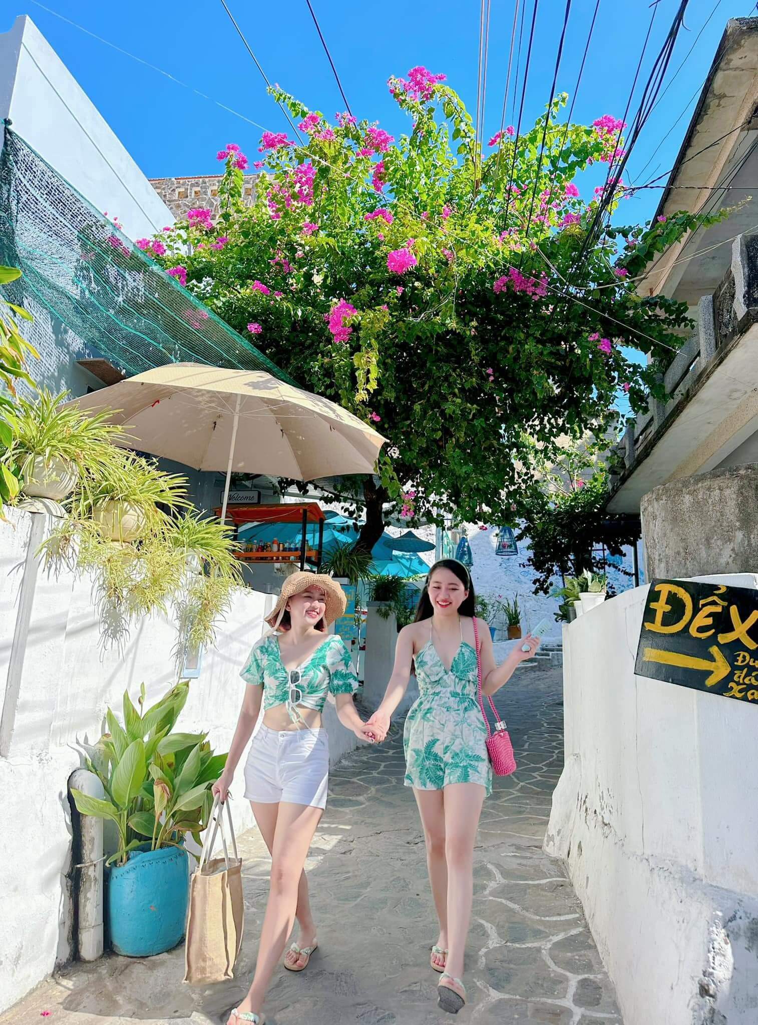  tour câu mực đêm Quy Nhơn